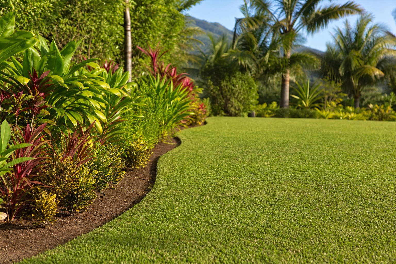 A trimmed lawn and tidy garden edge
